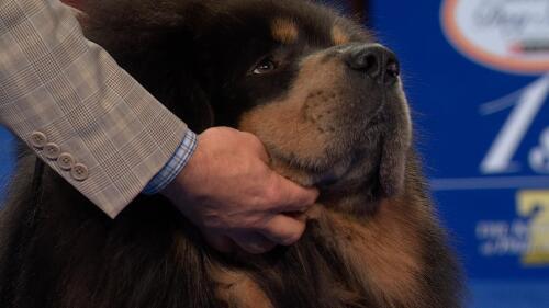 体育商业联盟管理